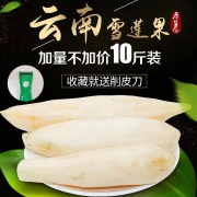 云南特产，娜鲜美 新鲜雪莲果 10斤