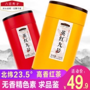国家地理标志产品，八百秀才 2018新茶 英红九号英德红茶罐装100g