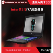 Terrans Force 未来人类 T500 15.6英寸笔记本电脑（I7-8750H 16GB 256GB+1TB GTX1060 6GB）