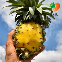 绿礼 云南香水小菠萝 10斤