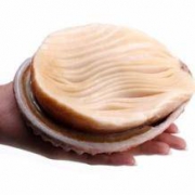 双11预售：领鲜未来 进口黄金鲍 赠鲍鱼汁 400-500g