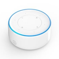 Ding Dong 叮咚 mini2 智能音箱  *4件