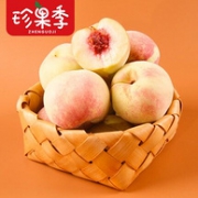 当季水果 珍果季 安阳 现摘 雪桃5斤