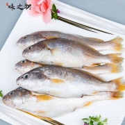 味之初 东海新鲜野生小黄鱼3斤