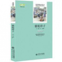 《骆驼祥子》中小学生课外书