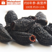 满乐纷 野生8年淡干海参 100g