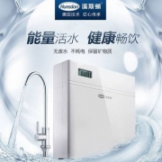 Hunsdon 汉斯顿 HSD-320EY 家用净水器