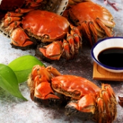 4对8只！阳澄湖 阳澄联合大闸蟹实物活鲜礼盒 公3.3-3.6两 母2.2-2.5两