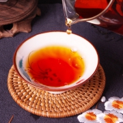 湛扬 武夷山桐木关 正山小种红茶 100g*5罐