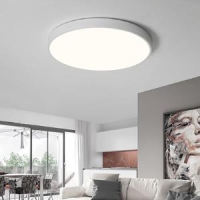 HD 青春版马卡龙系列 LED吸顶灯 三色调光 24W 简约白  *3件