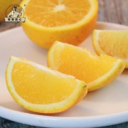 果聚匠心 麻阳冰糖冻橙 4.5斤