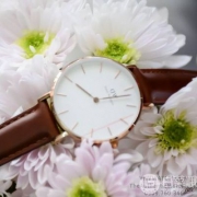 镇店之宝，Daniel Wellington 丹尼尔·惠灵顿 DW00100175 女士时尚腕表*2件 ￥1012.1包邮包税