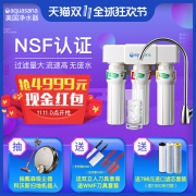 除铅率99%以上！美国 阿克萨纳 Aquasana 净水器 2套进口滤芯