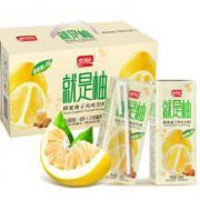 好价！限华东：盼盼 就是柚 蜂蜜柚子果汁饮料 250ml*24盒