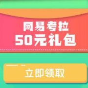 优惠券：网易考拉 50元大礼包 黑五可用
