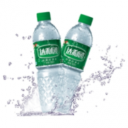 达利园 饮用纯净水 550ml*24瓶