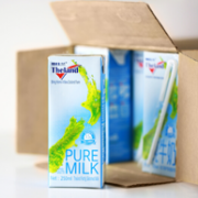 新西兰 Theland 纽仕兰牧场 部分脱脂牛奶 250ml*24盒 *3件