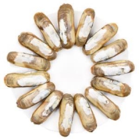 wecook 味库 连云港鲜活蛏子 1kg