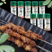特瑞肯 8种组合烧烤调料