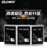 史低！GLOWAY 光威 悍将 SATA3 固态硬盘480GB