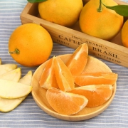 仙知味 现摘重庆奉节脐橙 5斤