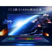 MACHENIKE 机械师 F117-FP6t 17.3英寸全面屏游戏本（i7-8750H、8GB、256G+1T、1060 6G）