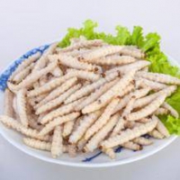 宝瑶 新鲜竹虫 竹节虫 500g