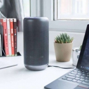 SONY 索尼 LF-S80D 智能蓝牙音箱 黑色