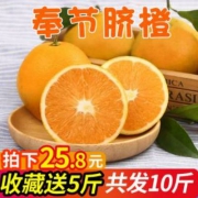 倾果乐 奉节脐橙新鲜橙子10斤（净重9斤）