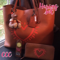 蔻驰（COACH）    Keith Haring Hudson女士真皮托特包