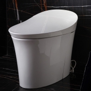 科勒（KOHLER） 维亚一体超感座便器  K-5401T-3-0(300坑) 高端系列