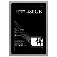 光威（Gloway）   悍将 480G 固态硬盘