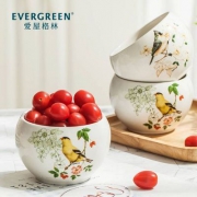 Evergreen 爱屋格林 加深加厚印花陶瓷碗4件 多花色