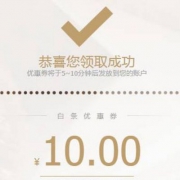 限京东白条支付