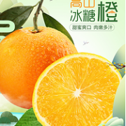 10斤！麻阳冰糖橙