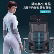 Ergonor 保友 Pofit 智能电脑椅 标准版 送躺舒宝+便利桌