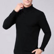 英讯 男士半高领羊毛针织衫（100%羊毛）