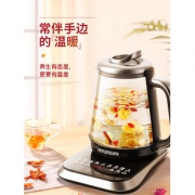 现代 多功能玻璃养生壶