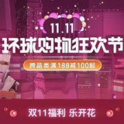 促销活动、双11必看： 网易考拉 11.11年终大促 全攻略