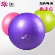 奥义 加厚防爆瘦身瑜伽球55cm 送5件套 2色