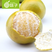 农派三叔 皇帝柑贡柑 9斤