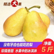 绿参 新鲜烟台太婆梨 5斤
