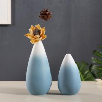 Hoatai Ceramic 华达泰陶瓷 i陶瓷花瓶摆件套装 两件套+干花