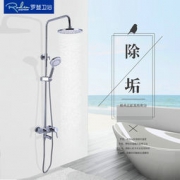 Roden罗登卫浴 RD-L702 除垢款淋浴花洒套装