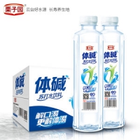 栗子园 无糖无汽 体碱水果味苏打水 400ML*24瓶