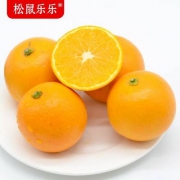 松鼠乐乐  黔阳冰糖橙 10斤