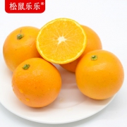 黔阳冰糖橙 10斤 应季新鲜水果 预售产品