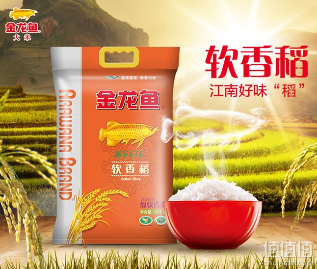 金龙鱼软香稻大米