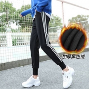 2018款，雅鹿 女士加绒加厚小脚哈伦裤运动裤 多色