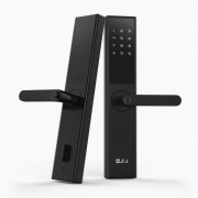 LOOCK 鹿客 OJJ X1 智能门锁